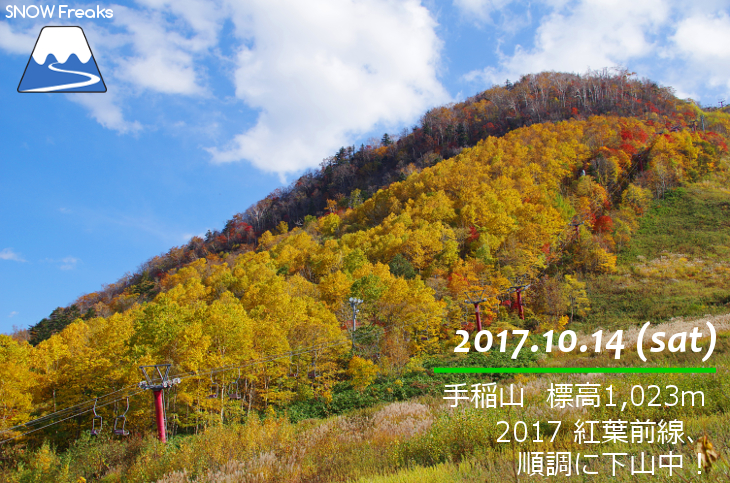 手稲山 2017 紅葉前線、順調に下山中！